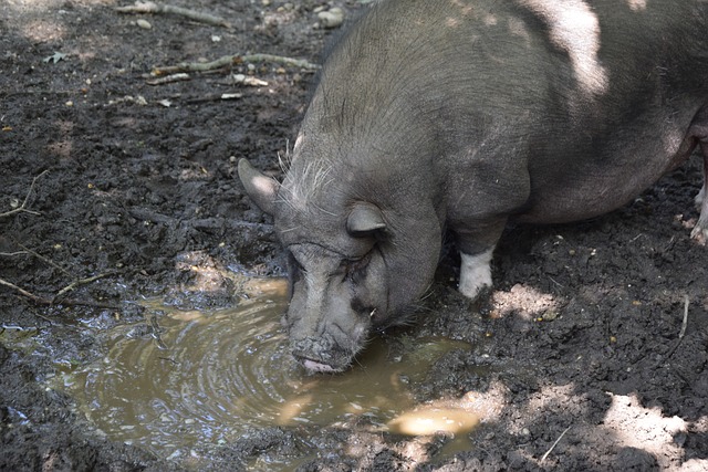 入职不到一 入职不到一