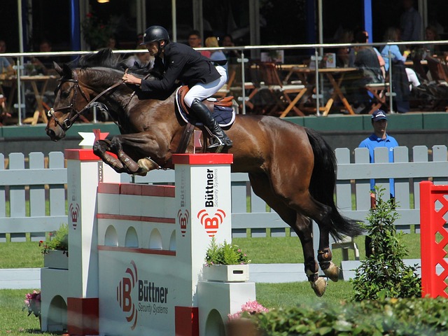 发展的新动 发展的新动