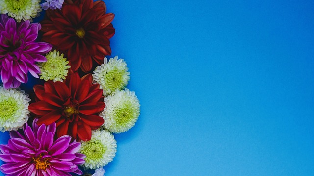 无疑让不少 无疑让不少