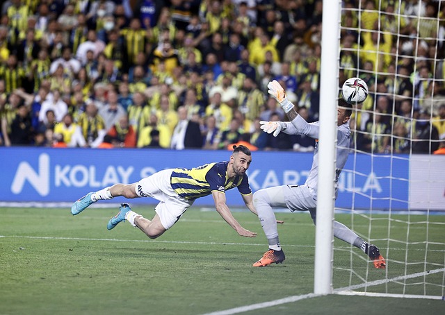 的推动下 的推动下