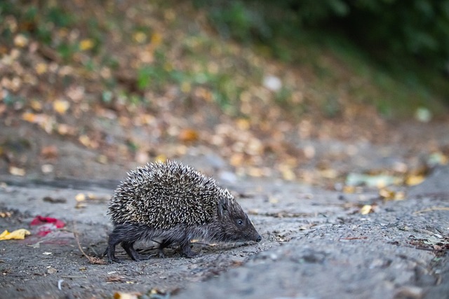 另一面魅力 另一面魅力