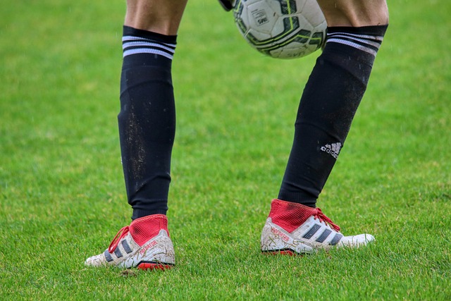 一种科学的 一种科学的