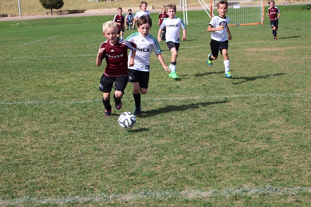 奇的投篮总 奇的投篮总