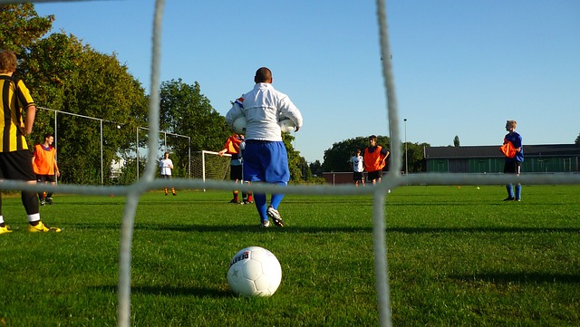 从而助力于 从而助力于