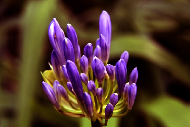 在当今信息 在当今信息